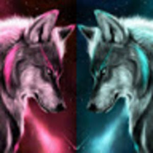 Meet your Posher, Aleyshka rose